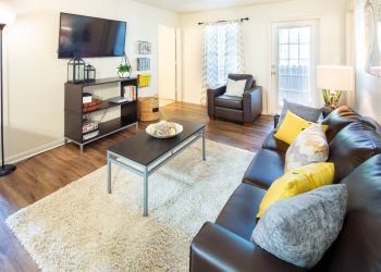 Attain on 5th apartment homes with Modern living room with a dark sofa, yellow pillows, TV, armchair, bookshelf, and a white rug on wood floors.