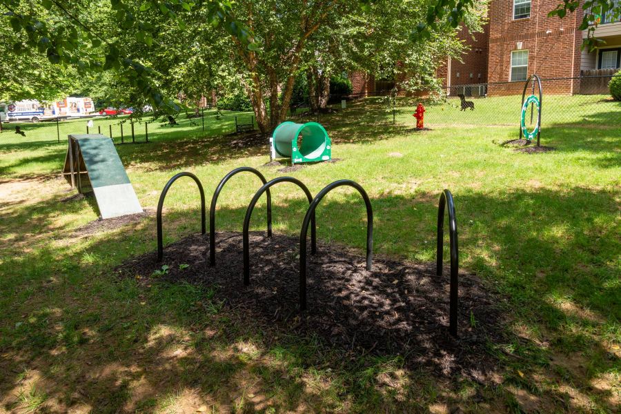 Attain on 5th apartment homes with Dog park with agility equipment, including hoop bars, a tunnel, ramp, and grass, near brick apartments.