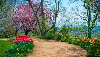 Monticello